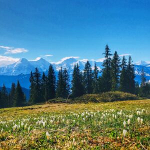 Güggisgrat Mai 2020 mit Rainer von simply.hiking