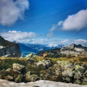 Güggisgrat Mai 2020 mit Rainer von simply.hiking