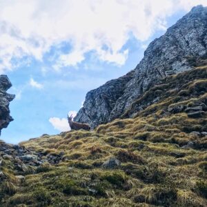 Güggisgrat Mai 2020 mit Rainer von simply.hiking