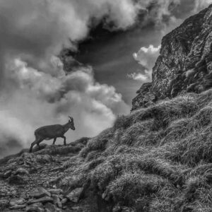 Güggisgrat Mai 2020 mit Rainer von simply.hiking