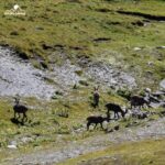 «Muttsee ● Kistenpasshütte ● Panixerpass» vom Linthal ins Sernftal 2 Wandertage mit Rainer von simply.hiking