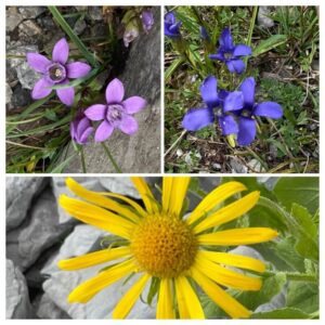 Via Glaralpina / Glarnerland Dein Wandererlebnis mit Rainer von simply.hiking